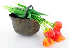 ./news_pic/80285.jpg ./news_pic/80285.jpg