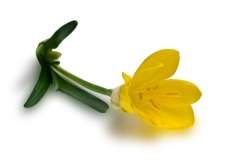 ./news_pic/90326.jpg ./news_pic/90326.jpg